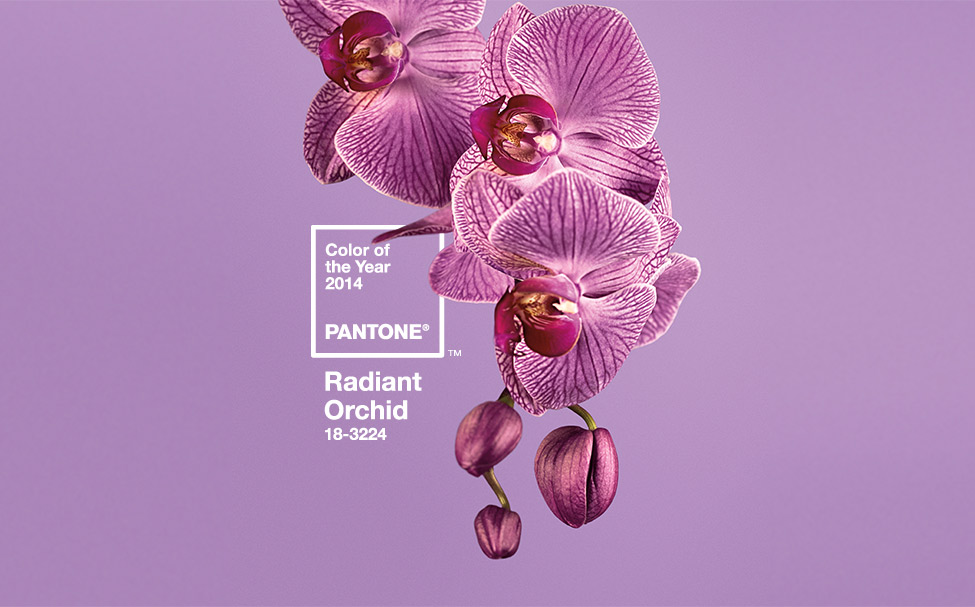 pantone-color-of-the-year-2014